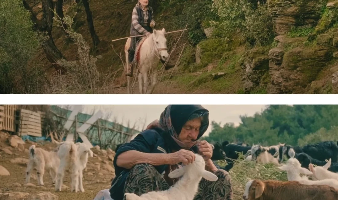  Boğaziçi...