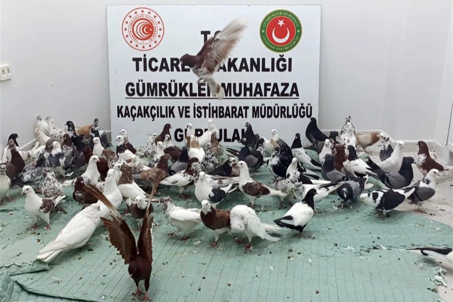  Ticaret...