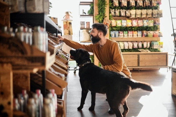 Köpek ve kedi sahipleri sürdürülebilir diyetlere daha açık Yeni...