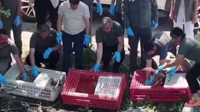  Doğa...